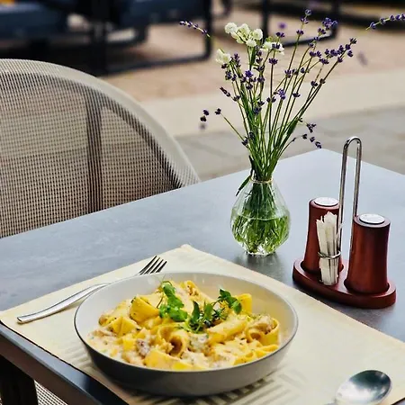 Villa Hotel 호텔 데브레첸