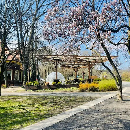 Отель Villa Hotel 4*