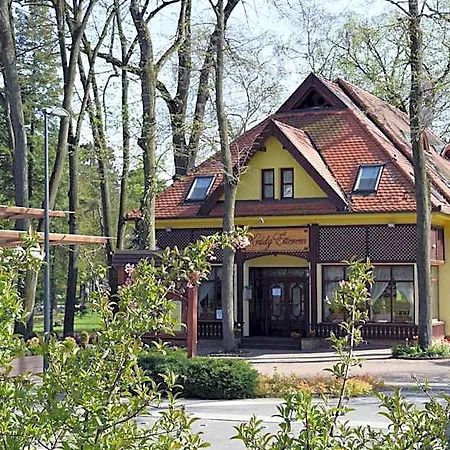 Hotel Villa Hotel 4*