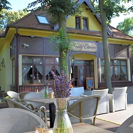 Villa Hotel 4*