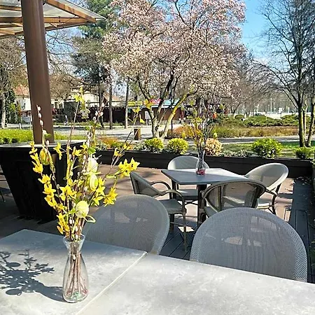 Villa Hotel