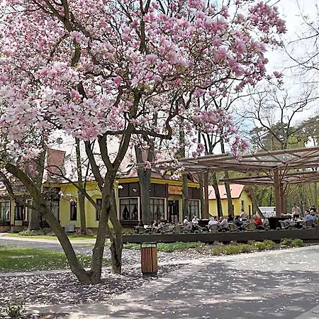 Villa Hotel