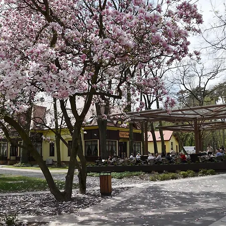 Villa Hotel 4*